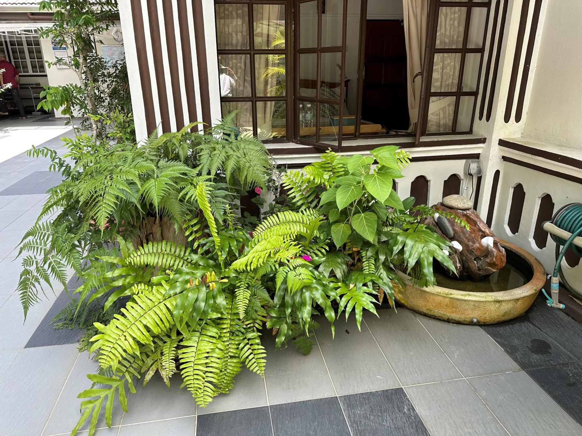 Hickory Penang Hill Otel Ayer Itam Dış mekan fotoğraf